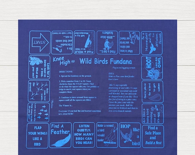 Bird Scavenger Hunt Game: Fun Learning for Kids Ages 3-6 All About Birds!