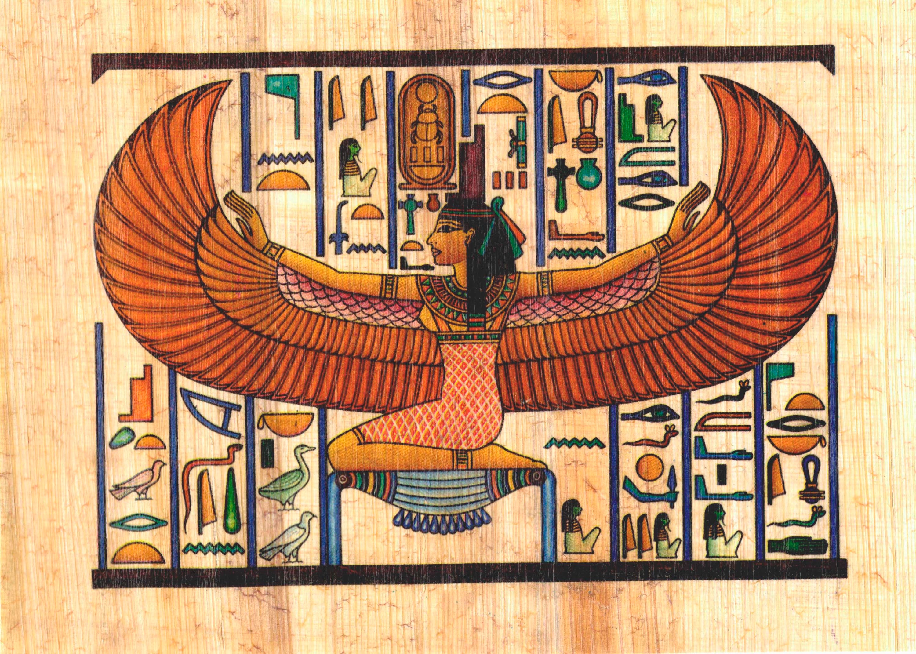 papyrus tree egypt papyrus tree egypt