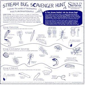 May include: A colorful educational chart titled "Stream Bug Scavenger Hunt" with illustrations of various aquatic insects and invertebrates. The chart is divided into three groups: Sensitive, Somewhat Sensitive, and Tolerant. Each group represents the insects' tolerance to water pollution. The chart includes the names of each insect and their common names, such as "Water Penny Beetle Larvae", "Caddisfly Larvae", "Mayfly Nymphs", "Stonefly Nymphs", "Dragonfly Nymphs", "Damselfly Nymphs", "Scuds", "Crayfish", "Crane Fly Larvae", "Leeches", "Rat-tailed Maggots", "Aquatic Worms", "Planaria or Flatworms", "Black Fly Larvae", "Midge Fly Larvae", "Left-Handed Lunged Snails", and "Right-Handed Gilled Snails".