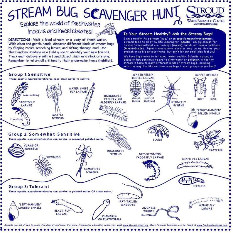 May include: A colorful educational chart titled "Stream Bug Scavenger Hunt" with illustrations of various aquatic insects and invertebrates. The chart is divided into three groups: Sensitive, Somewhat Sensitive, and Tolerant. Each group represents the insects' tolerance to water pollution. The chart includes the names of each insect and their common names, such as "Water Penny Beetle Larvae", "Caddisfly Larvae", "Mayfly Nymphs", "Stonefly Nymphs", "Dragonfly Nymphs", "Damselfly Nymphs", "Scuds", "Crayfish", "Crane Fly Larvae", "Leeches", "Rat-tailed Maggots", "Aquatic Worms", "Planaria or Flatworms", "Black Fly Larvae", "Midge Fly Larvae", "Left-Handed Lunged Snails", and "Right-Handed Gilled Snails".