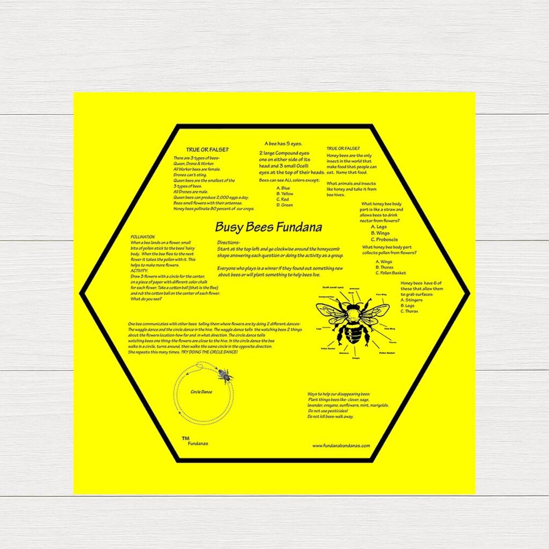 Busy Bees Fundana – Outdoor STEM Learning Game for Kids – Bee Education ...