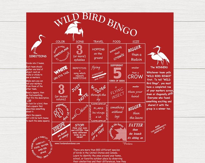 Wild Bird Bingo Fundana – Bird Identification & Nature Bingo Bandana – Educational Outdoor Learning Activity for Kids – Made in USA