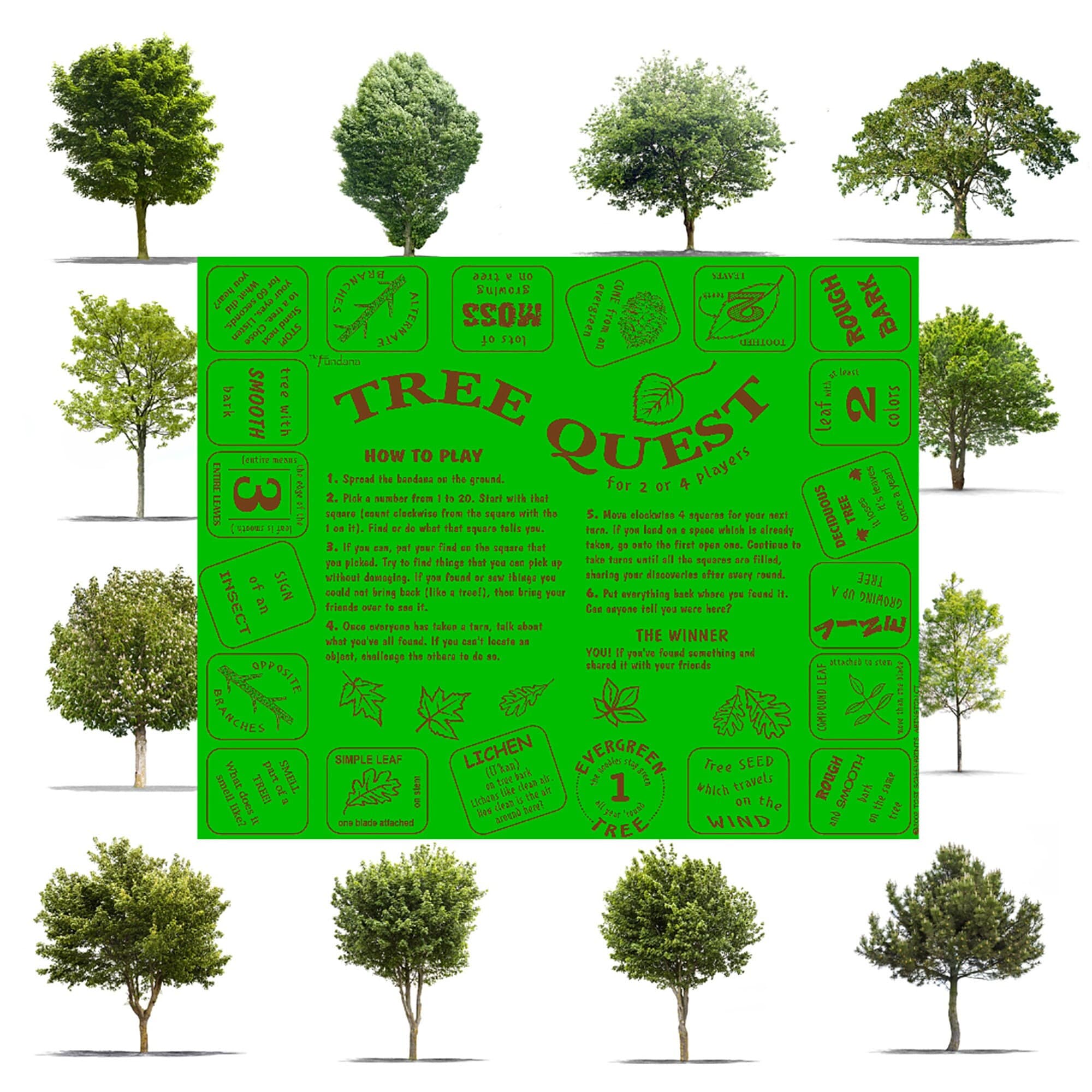 New! Tree Quest in 3 different colors! A fun scavenger hunt to teach ...