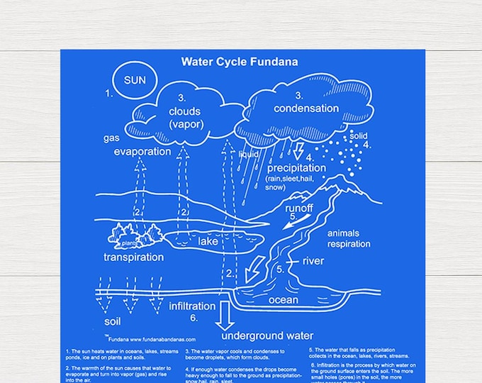 Water Cycle Fundana – Educational Science Bandana for Kids – Hands-On Outdoor Learning STEM Activity – Made in USA by Fundana Bandanas