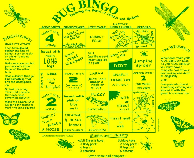Bug Bingo Fundana Fun & Educational Insect Game for Kids 2 Colors