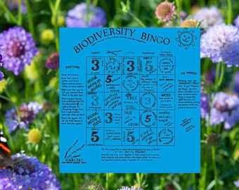 New Biodiversity Colors! Water, plants, insects, weather, habitats! A fun Bingo game that make the complex topic of biodiversity simple!!