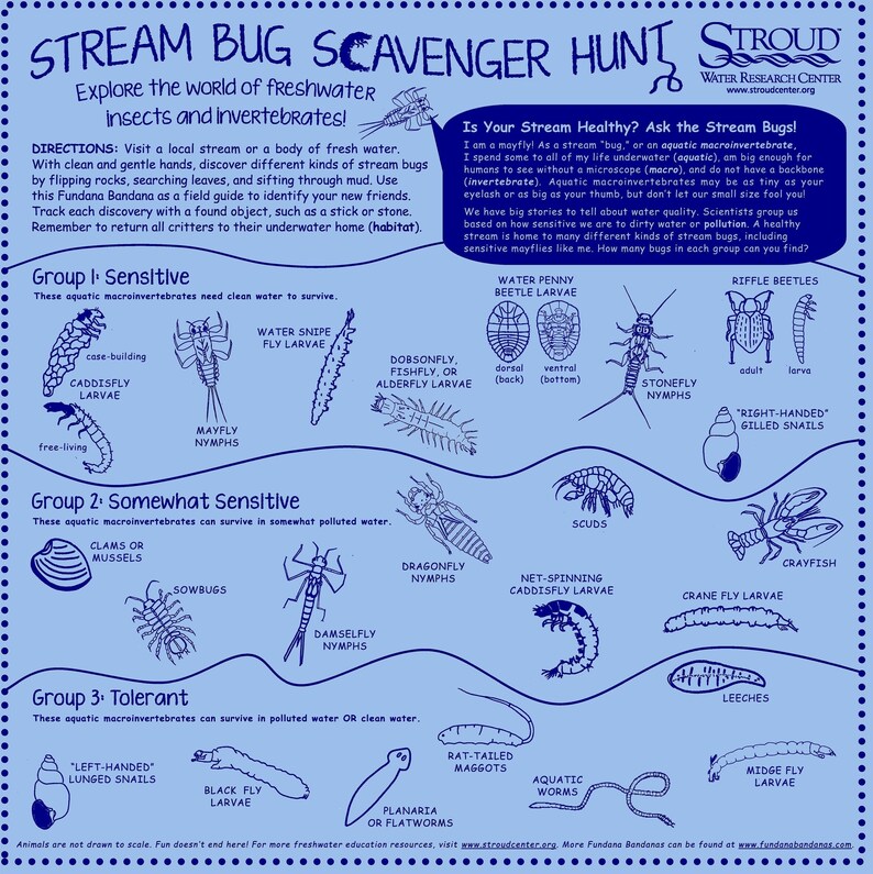 May include: A blue and white illustrated guide to freshwater insects and invertebrates. The guide is titled "Stream Bug Scavenger Hunt" and features illustrations of various bugs, including mayflies, dragonflies, caddisflies, and stoneflies. The guide also includes information about the health of streams and how to identify different types of bugs.