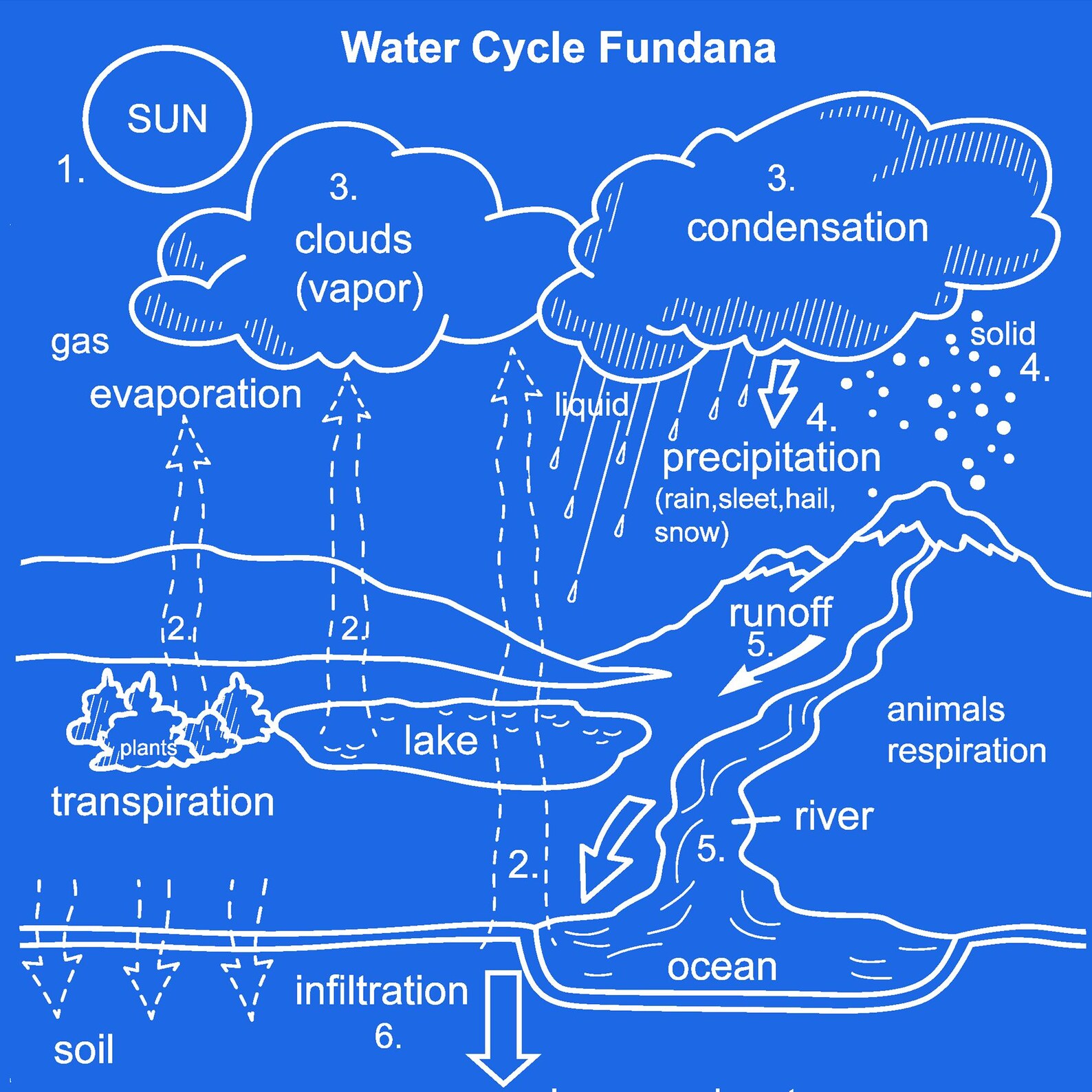 Water Cycle Fundana – Educational Science Bandana for Kids – Hands-on ...