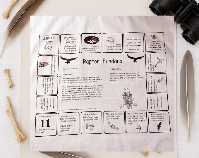 Raptor Quest Bandana Game: Birds of Prey Learning