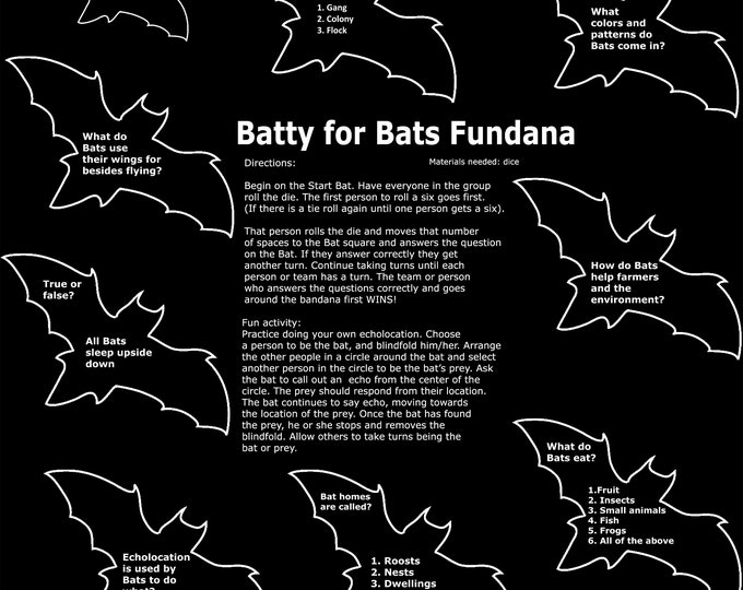 BATS!! Learn all about the quirky, fascinating world of Bats! Echolocation activity included! Great for families, scouts, camps and more!
