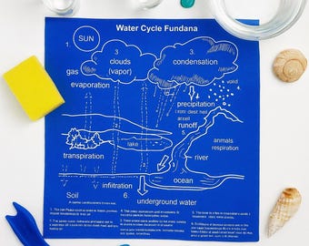 Water Cycle Bandana: Educational Kids Science Chart