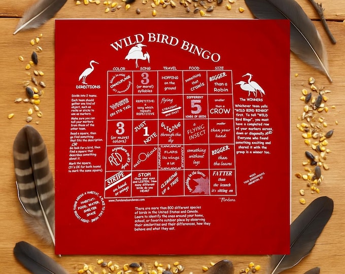 Wild Bird Bingo Fundana: Educational Game on Cotton Bandana