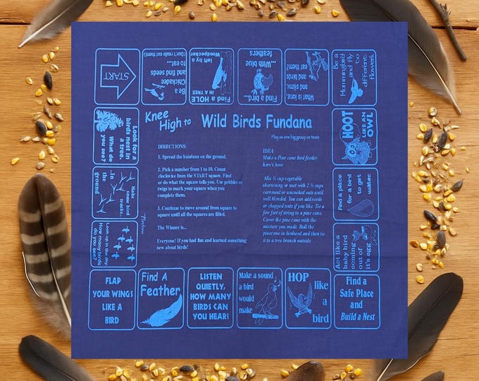 Bird Scavenger Hunt Game: Fun Learning for Kids Ages 3-6