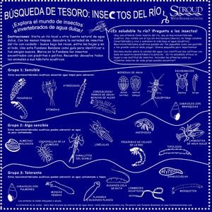 Stream Bug Scavenger Hunt Bandana – STEM Nature Activity, Bilingual Spanish