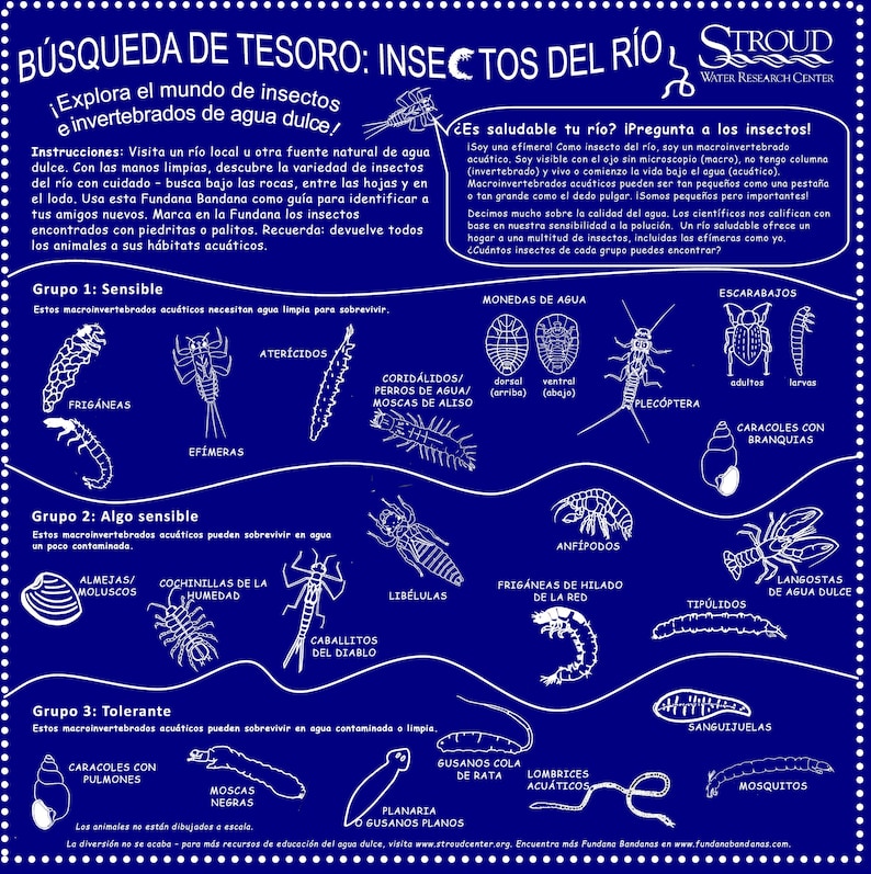 Stream Bug Scavenger Hunt Bandana – STEM Nature Activity, Bilingual Spanish