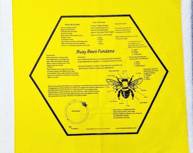 Busy Bees Fundana – Honey Bee Activity Game for Kids | Hands-On Learning for Homeschool & Remote Education