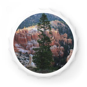 Nature-Inspired Bottle Opener | Rustic Home Bar Gift, Vintage Decor, Unique Housewarming Present, Outdoor Adventure Theme