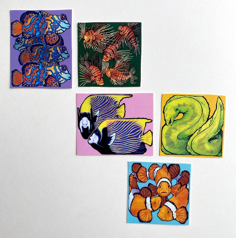 May include: A collection of five square art prints featuring colorful marine life illustrations. The prints depict various fish, including mandarin fish, lionfish, angelfish, a green moray eel, and clownfish, against different colored backgrounds.