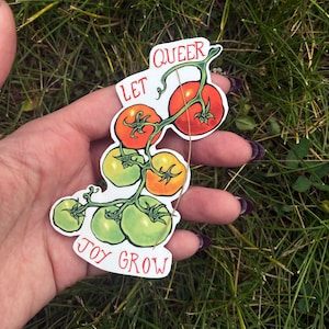 May include: A sticker depicting a cluster of tomatoes, ranging in colour from green to red. The words "LET QUEER JOY GROW" are printed on the sticker in a playful font. The sticker is held against a background of green grass.