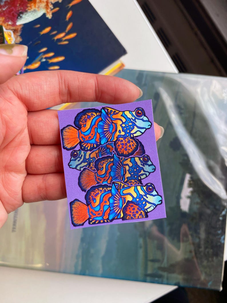 May include: A sticker featuring a stack of four colorful mandarin fish illustrations. The fish have orange, blue, and yellow patterns on a purple background. The sticker is held by a hand.