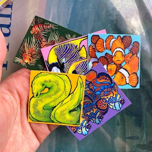 May include: A collection of square art prints featuring colorful illustrations of various marine fish. The prints showcase a lionfish, a yellow and blue angelfish, clownfish, a green moray eel, and a mandarin dragonet. Each print has a unique background color.