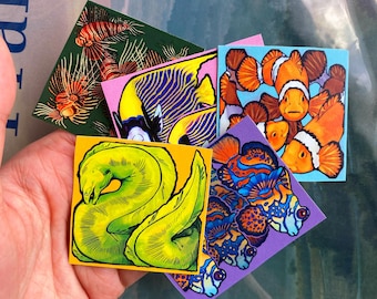 Rectangular Reef Fish Sticker Pack