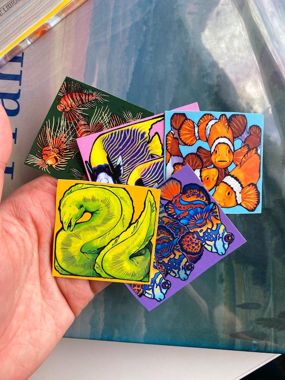 Rectangular Reef Fish Sticker Pack