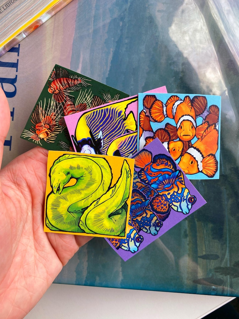 May include: A collection of square art prints featuring colorful illustrations of various marine fish. The prints showcase a lionfish, a yellow and blue angelfish, clownfish, a green moray eel, and a vibrant mandarin dragonet.