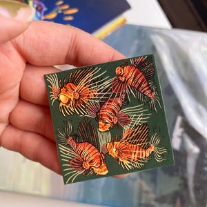 May include: A square sticker featuring five orange and white lionfish on a dark green background. The lionfish have distinctive fan-like fins and striped bodies. The sticker is held in a hand.