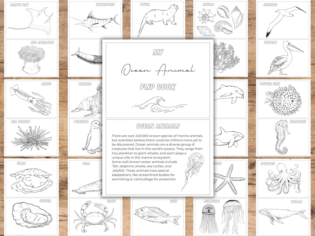 Ocean Animal Flip Book for Kids | Printable Ocean Coloring Book ...