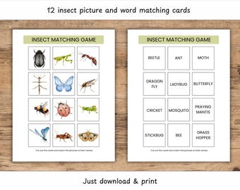 Insect Matching Game, Nature Science Activity (PDF Download)