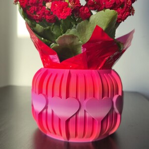 Peut inclure: Une plante à fleurs rouge vif dans un pot rose avec des découpes en forme de cœur. Le pot présente des lignes verticales et un dégradé de rose. La plante est enveloppée de papier rouge.