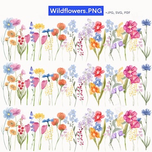 May include: A digital illustration of a watercolor painting of a row of colorful wildflowers. The flowers are arranged in a row, with the stems pointing upwards. The flowers are in various shades of pink, red, orange, yellow, blue, and purple. The background is white.