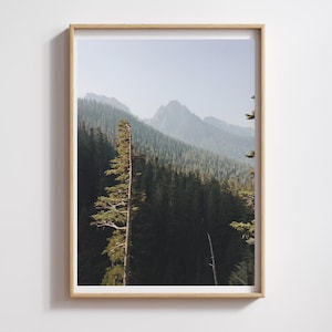 Lone Tree Wall Art Digital Print Pacific Northwest Nature Photography Printable Forest Tree Line Decor for Outdoorsy and PNW Style Homes