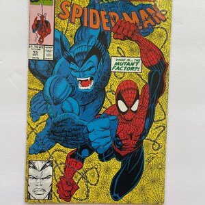 Spiderman & Beast