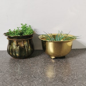 Peut inclure: Deux pots de plantes en laiton, l'un avec un design cannelé et l'autre de forme ronde, tous deux avec des plantes vertes à l'intérieur.