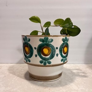 May include: A white ceramic planter with a green and brown geometric pattern. The planter has a wide rim and a slightly flared base. A small green plant is growing inside the planter.