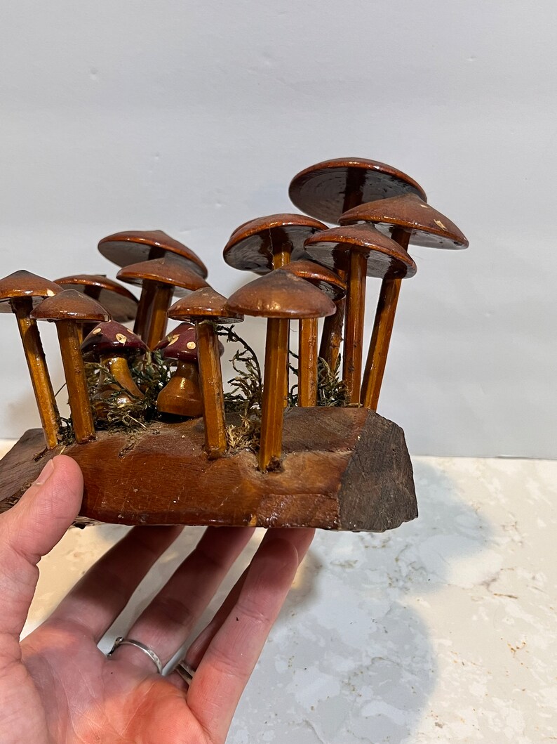 Pu&ograve; includere: Una scultura di funghi in legno con funghi dipinti di marrone e bianco su una base in legno. I funghi sono disposti in un gruppo e hanno un aspetto fantasioso e da fiaba.