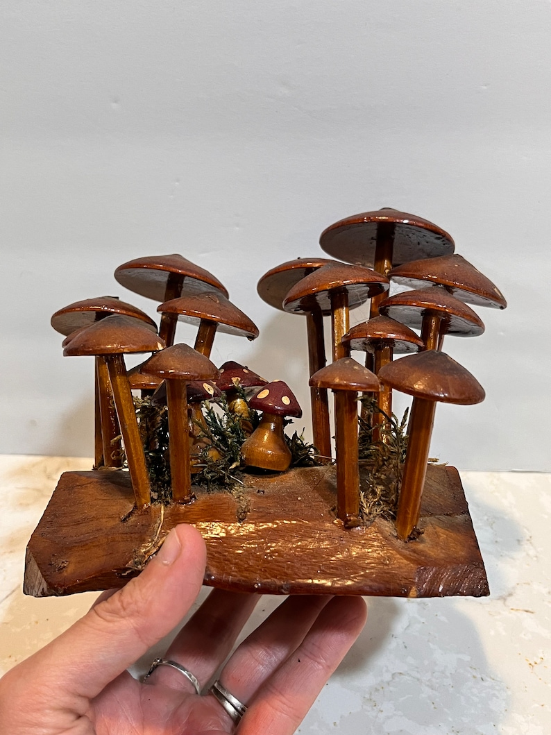Pu&ograve; includere: Una scultura di bosco di funghi in legno con funghi marroni e rossi su una base in legno. I funghi sono disposti in un gruppo e hanno un aspetto fantasioso e fiabesco.