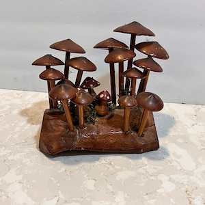 Pu&ograve; includere: Una scultura di funghi in legno con funghi marroni e rossi su una base in legno. I funghi sono disposti in un gruppo, con alcuni che si sovrappongono. La scultura &egrave; un'opera d'arte fantasiosa e affascinante.