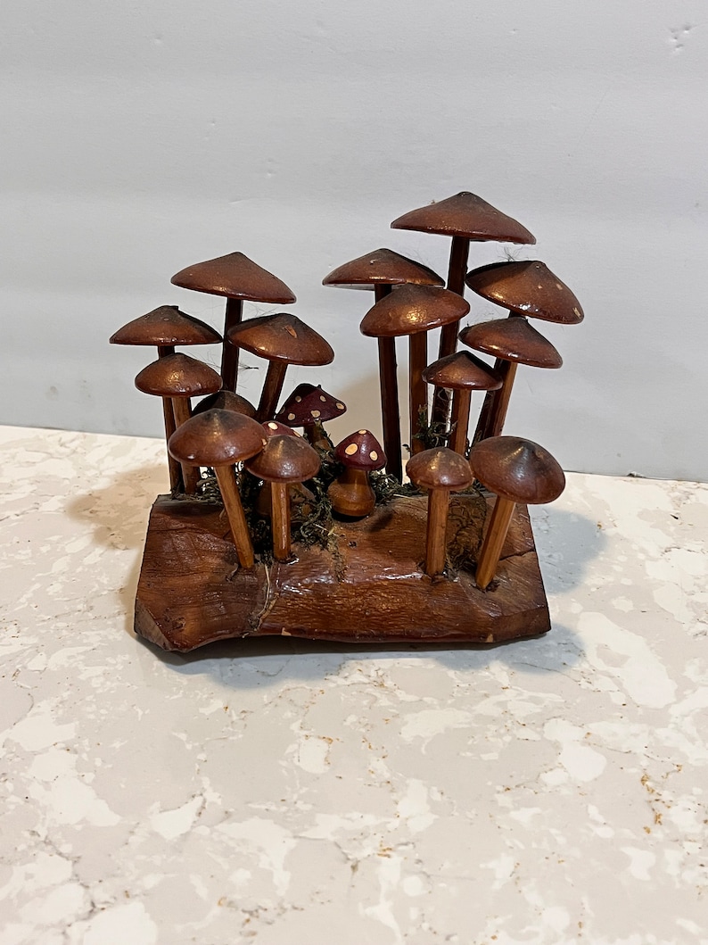 Pu&ograve; includere: Una scultura di funghi in legno con funghi marroni e rossi su una base in legno. I funghi sono disposti in un gruppo, con alcuni che si sovrappongono. La scultura &egrave; un'opera d'arte fantasiosa e affascinante.