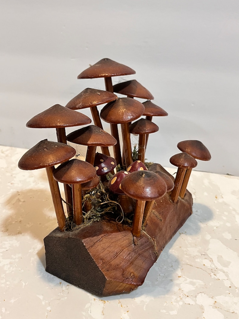 Pu&ograve; includere: Una scultura in legno di un gruppo di funghi con cappelli marroni e macchie bianche. I funghi sono disposti su un pezzo di legno con muschio.