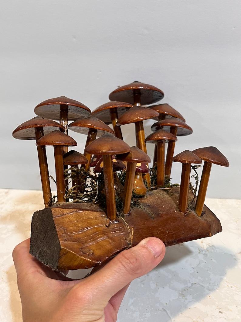 Pu&ograve; includere: Una scultura in legno di un gruppo di funghi con cappelli e steli marroni. I funghi sono disposti su una base in legno con muschio e sono dipinti con dettagli rossi e bianchi.