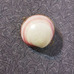 May include: A pink and white seashell with a gold metal hinge. The seashell is on a gray background with a pattern of black and white boomerangs.