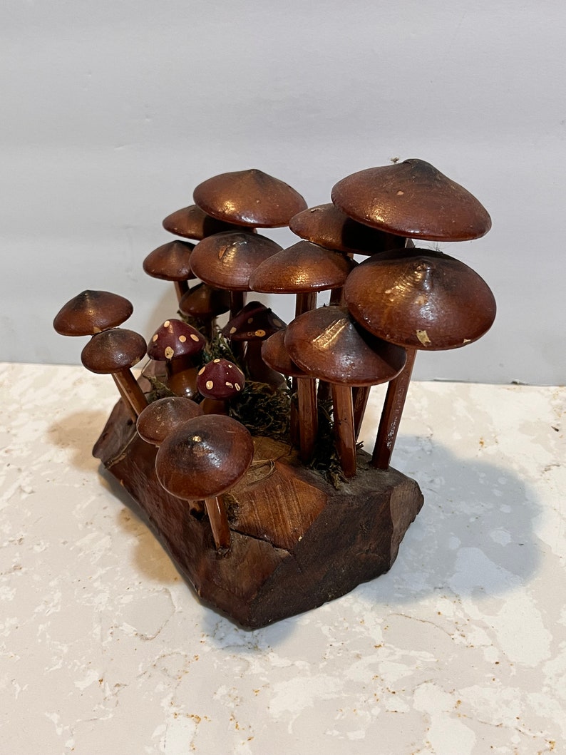 Pu&ograve; includere: Una scultura in legno di un bosco di funghi con funghi marroni di diverse dimensioni su una base in legno.