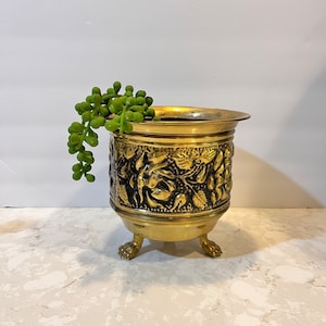 Peut inclure: Un pot en métal doré avec un motif floral orné et trois pieds. Le pot est rempli d'une petite plante succulente verte.