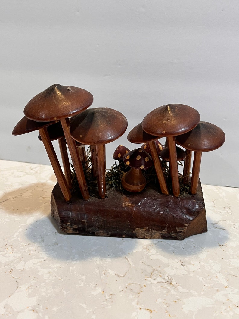 Pu&ograve; includere: Una scultura di funghi in legno con pi&ugrave; funghi marroni su una base in legno. I funghi hanno steli marroni e cappelli marroni con macchie bianche.