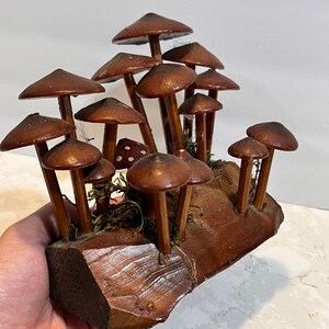 Pu&ograve; includere: Una scultura di funghi in legno di diverse dimensioni e forme. I funghi sono disposti su una base in legno con una finitura in legno naturale.