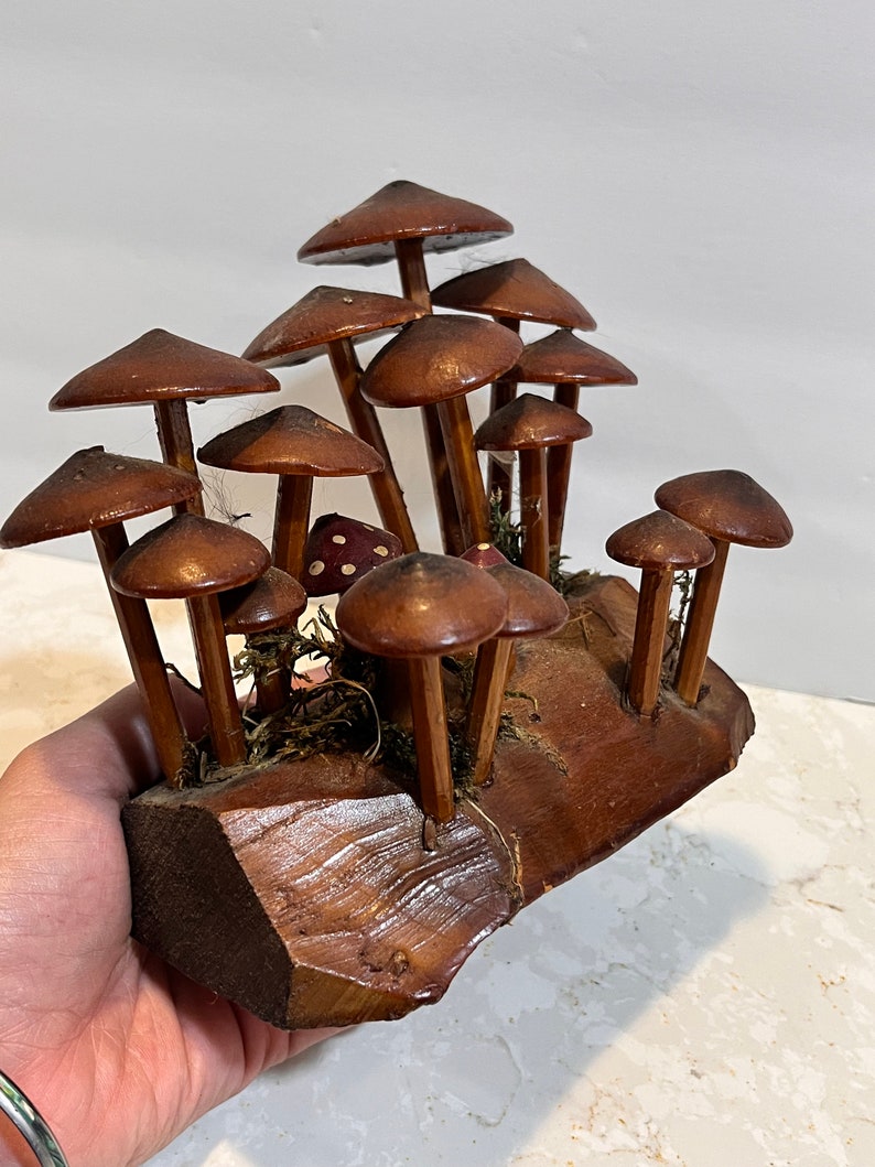 Pu&ograve; includere: Una scultura di funghi in legno di diverse dimensioni e forme. I funghi sono disposti su una base in legno con una finitura in legno naturale.