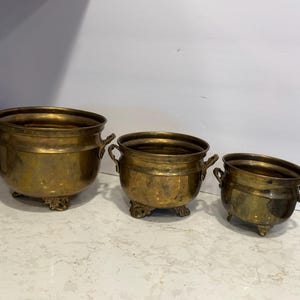 May include: A set of three graduated brass planters with a polished finish. Each round vessel features two small side handles and rests on three ornate, claw-style feet. The planters are arranged in a row from largest to smallest in size.